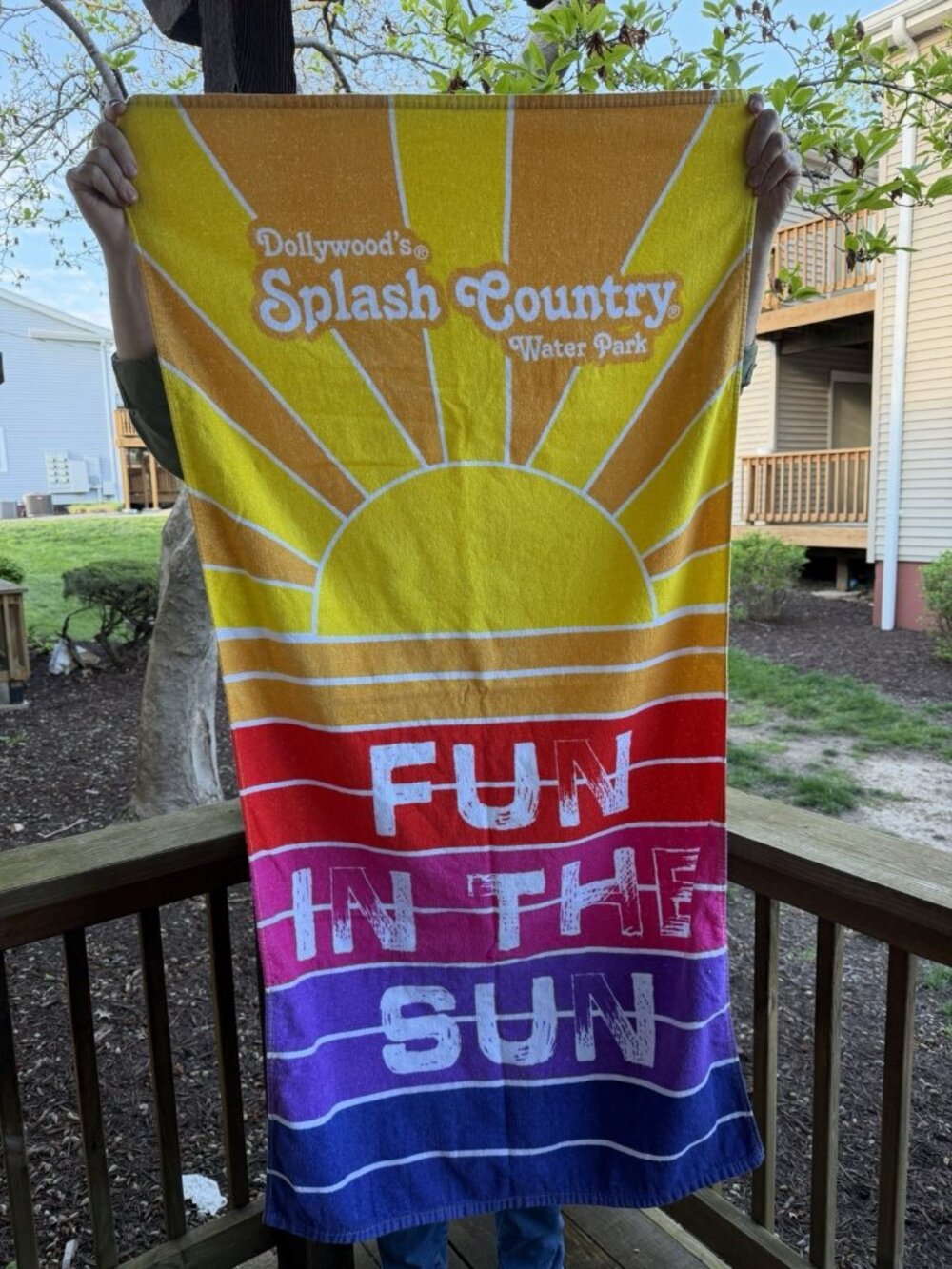Vintage Dollywood Splash Country rainbowcore Fun in the Sun beach towel